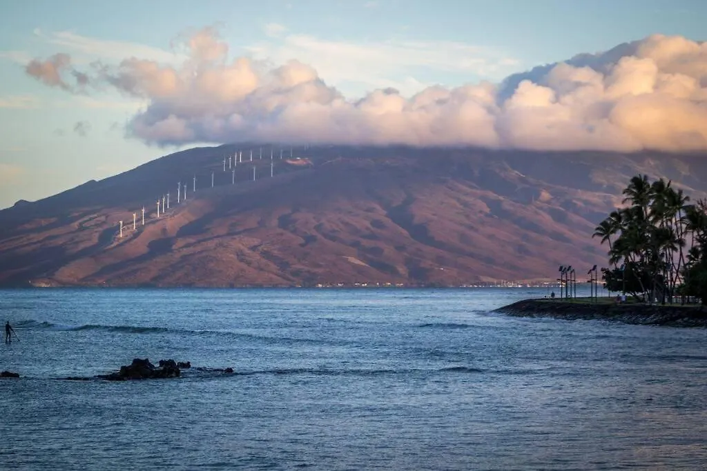 Ocean Front- Cozy Condo Prime Location In Kihei 0*,  USA